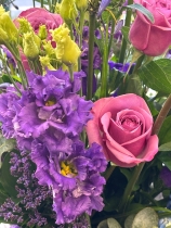 Seasonal purple, Lilac and blue.